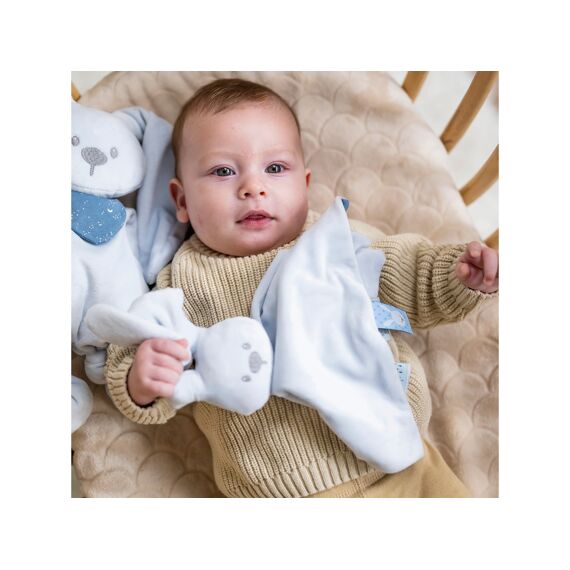 Nattou Lapidou Doudou Blauw Met Gedrukt Motief