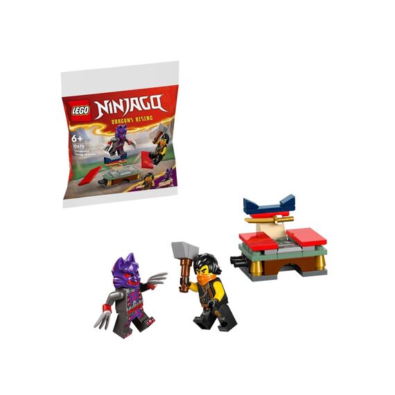 Lego Ninjago 30675 Toernooi Trainingsveld