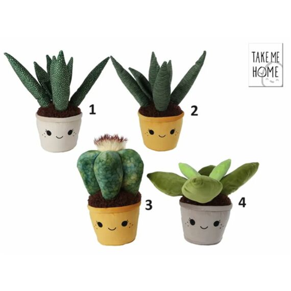 Take Me Home Plant Pluche Xl 45Cm 4 Assortie