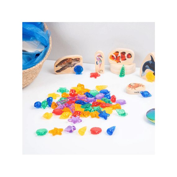 Tickit Transparant Gekleurde Schelpen - 72 Stuks
