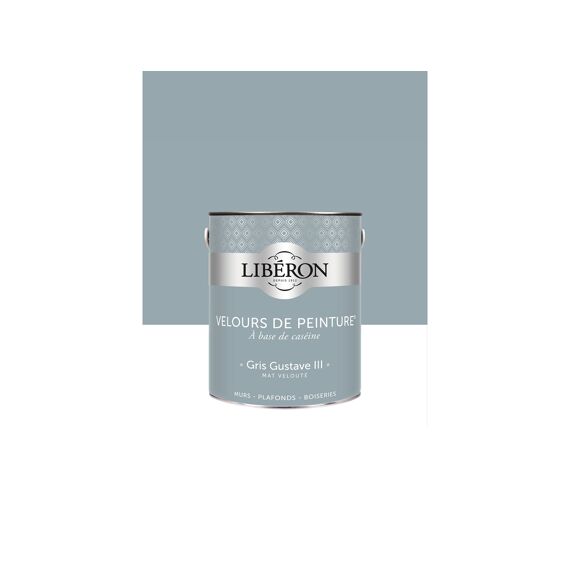 Libéron Fluweelverf Grijs Gustave Iii 2.5L