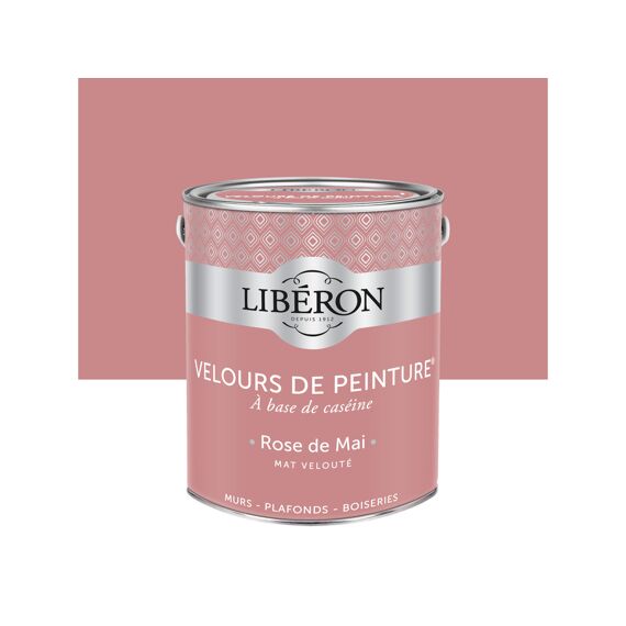 Libéron Fluweelverf Roos Van Mai 2.5L