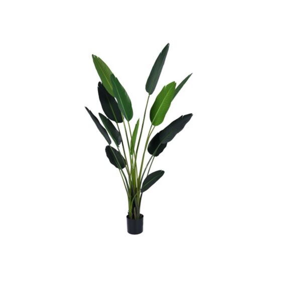 Artificial Strelitzia Plant Green H185Cm