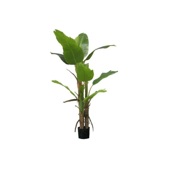 Artificial Banana Plant Green H150Cm