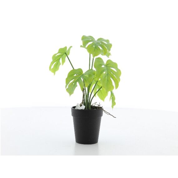 Artificial Monsteria Plant Green H25Cm