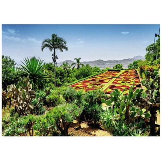 Ravensburger Puzzel 1000 Stuks Botanical Garden, Madeira