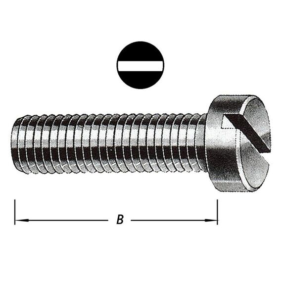 Metaalbouten Cil.Kop Met Moer M 5 X 50