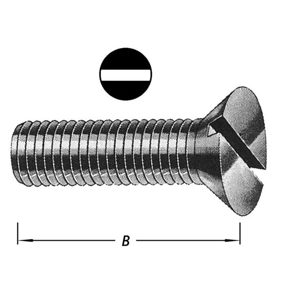 Metaalbouten Platte Kop + Moer M 6 X 30