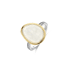 Bicolor (zilver- en geelgoudkleurig)