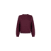 323 dark red - bordeaux