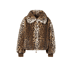 2650 khaki brown - bruin