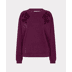 484 beet - aubergine