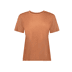 000735 Camel - bruin
