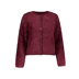 480 Burgundy - bordeaux
