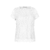 006 Ivory - wit