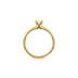 Geel goud