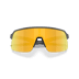 Matte Carbon/Prizm 24K