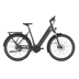 Anthracite Grey (Glans)