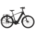 Trek Black Satin