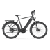 Anthracite Grey (Glans)