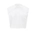 PURE WHITE