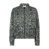 Olijf