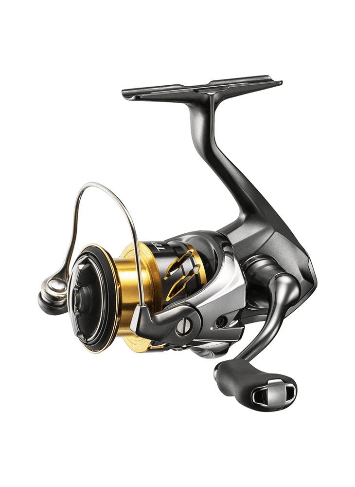 New Shimano Twin Power FE! New products from Savage Gear, Rapala