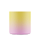0202