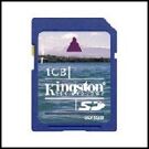 Wii SD Card Kingston 1 GB product image