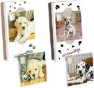 DS Puzzle Case Magic Nintendogs - Big Ben product image