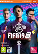 DVDG FIFA 19 product image